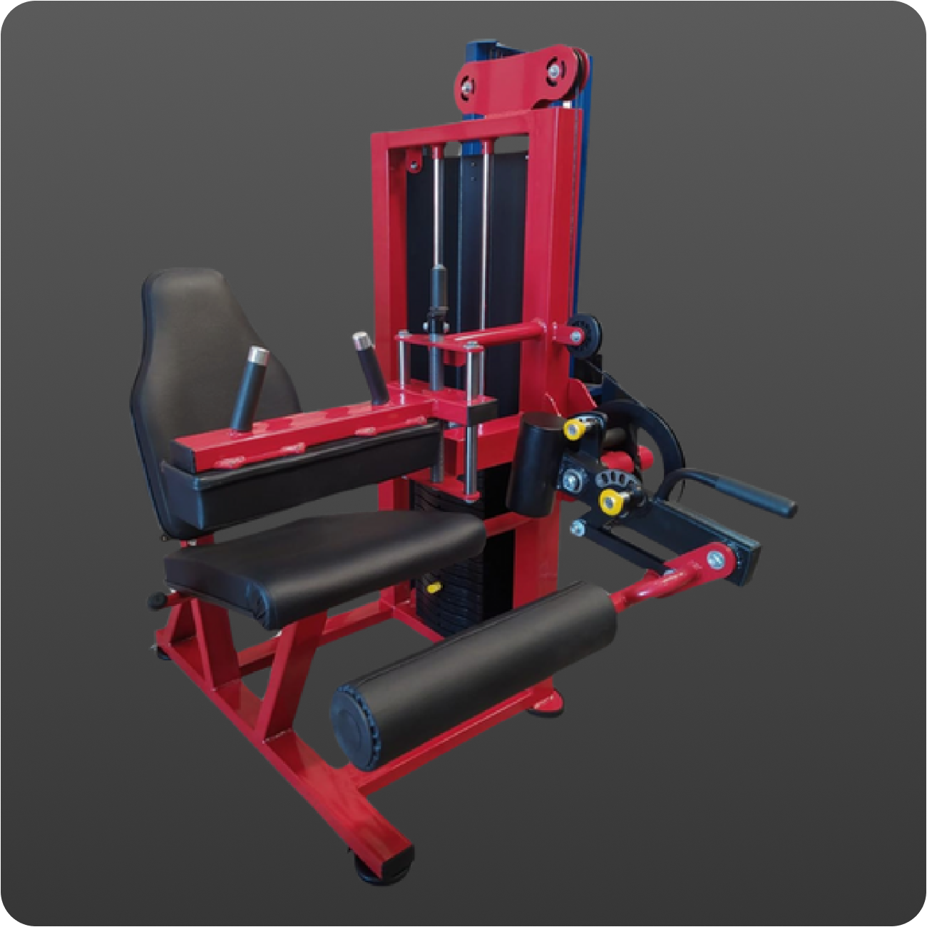 Cadeira flexora maquina