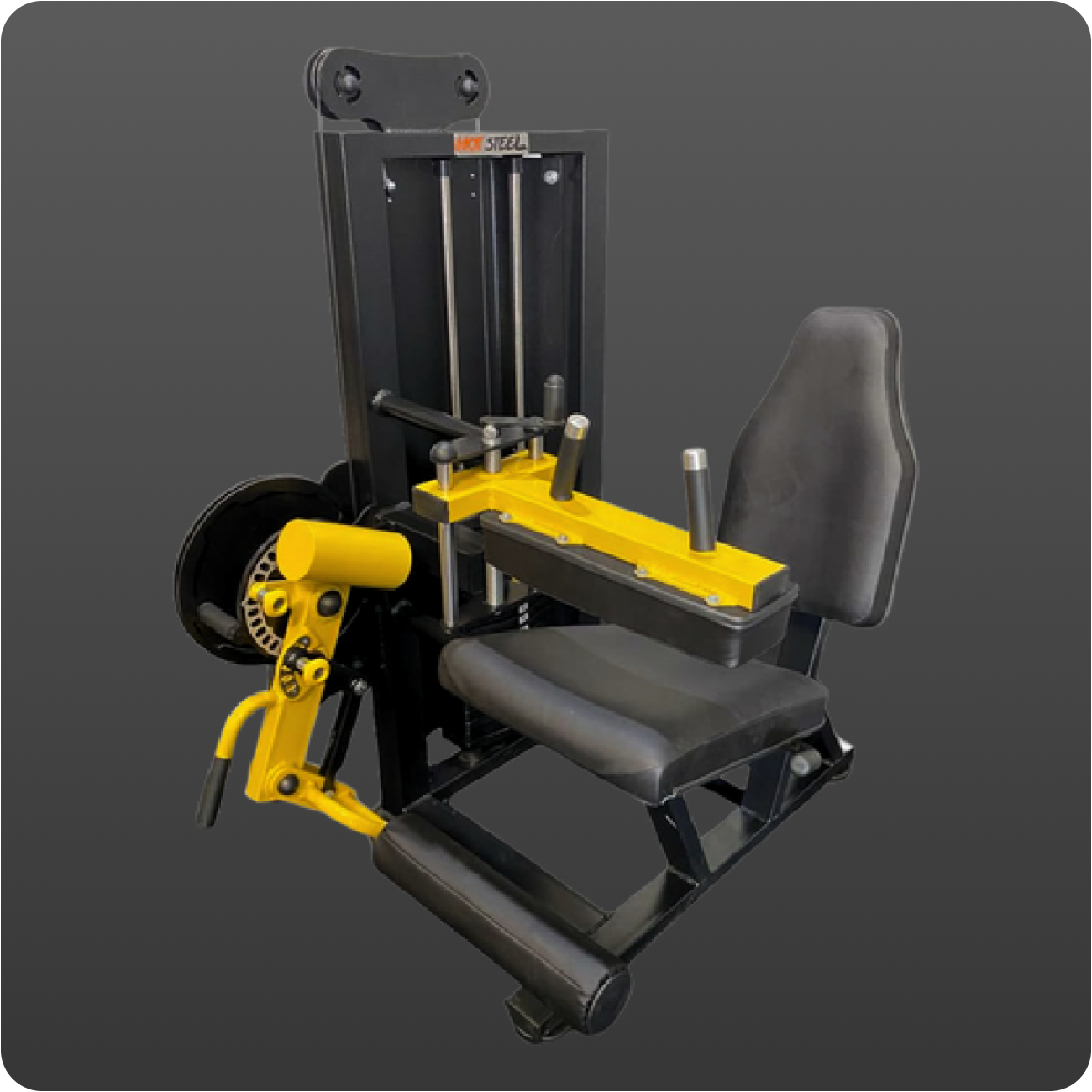 Extensora - Flexora máquina