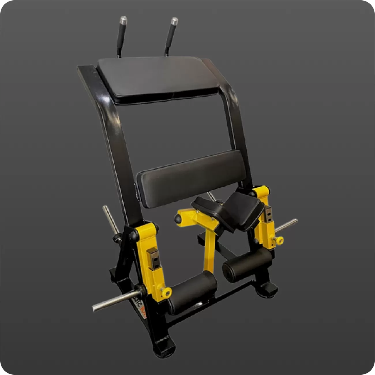 Máquina Flexora em Pé Unilateral Profissional